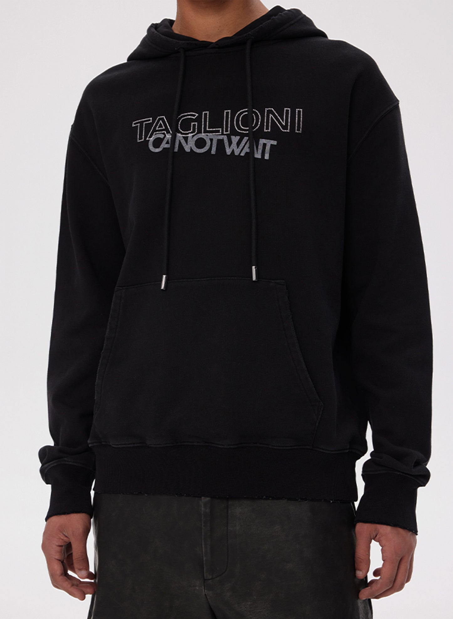 TAGLIONI Logo Crystal-Cut Head Down Hoodie